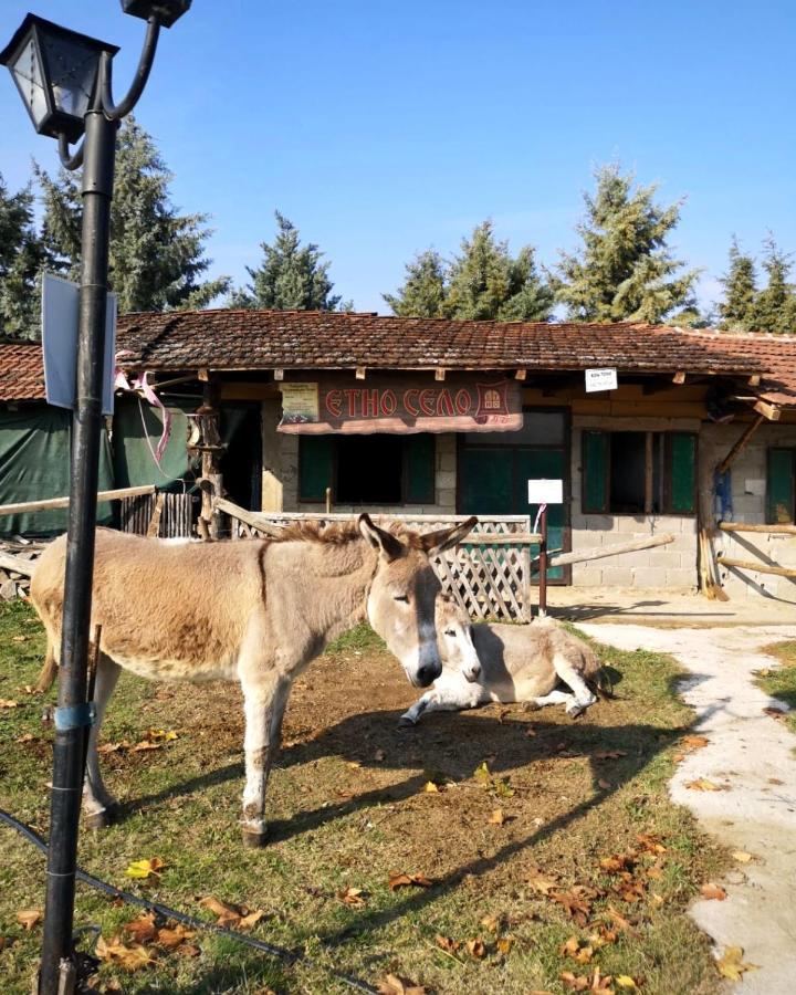 Etno Selo Timcevski Complex Vojnik Exterior photo